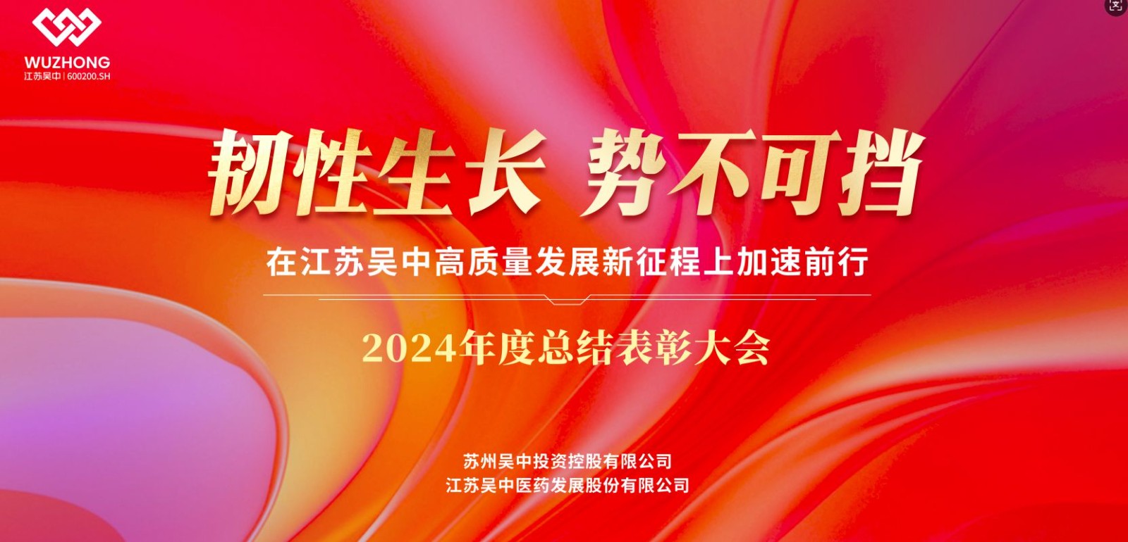 公司召開2024年度總結(jié)表彰大會暨2025年新春團(tuán)...